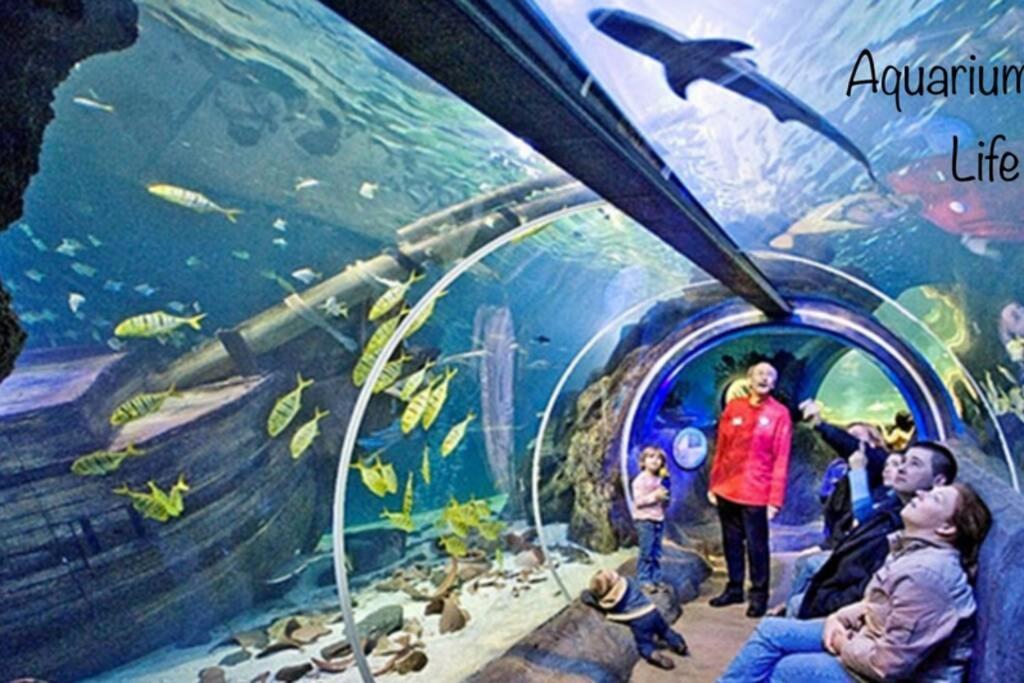 Studio 2 Adultes 2 Enfants Parcs Disneyland Paris Montévrain Zewnętrze zdjęcie